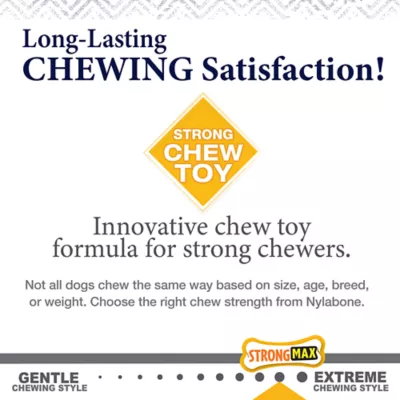 Product Nylabone Gourmet Style Chew Toy 2-Pack