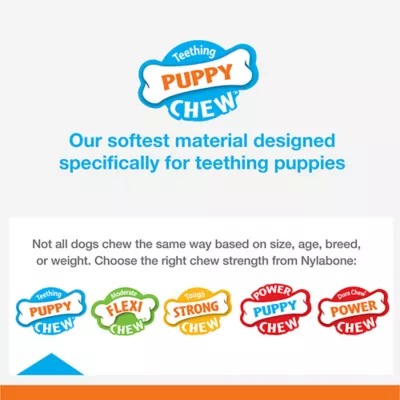 Product Nylabone Chill & Chew Puppy Freezer Bone Chew Dog Toy