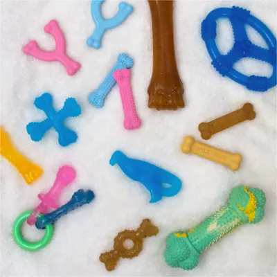 Product Nylabone Chill & Chew Puppy Freezer Bone Chew Dog Toy