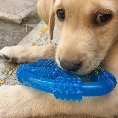 Product Nylabone Puppy Oval Ring Chew Dog Toy