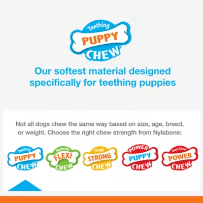 Product Nylabone Puppy Oval Ring Chew Dog Toy