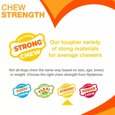 Product Nylabone Rubber Strong Braid Bone Chew Dog Toy