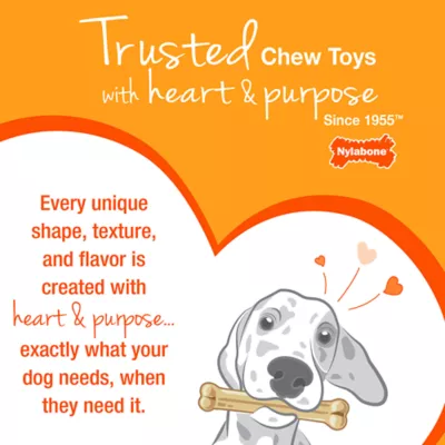 Product Nylabone Rubber Strong Braid Bone Chew Dog Toy