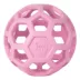 JW Pet Hol-ee Roller Puzzle Ball Dog Toy image thumbnail 1