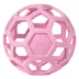 JW Pet Hol-ee Roller Puzzle Ball Dog Toy image thumbnail 1