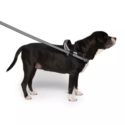 Canada Pooch Redirect Harness - Black - Image 3