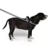 Canada Pooch Redirect Harness - Black image thumbnail 3