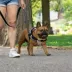 Canada Pooch Redirect Harness - Black image thumbnail 7