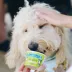 The Bear & The Rat Frozen Yogurt All Life Stages Frozen Dog Treats - Bacon & Peanut Butter image thumbnail 4