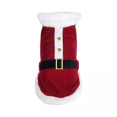 Hip Doggie Dog Santa Suit - Image 1