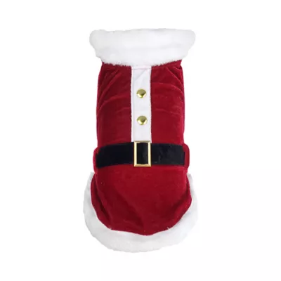 Hip Doggie Dog Santa Suit - Image 1