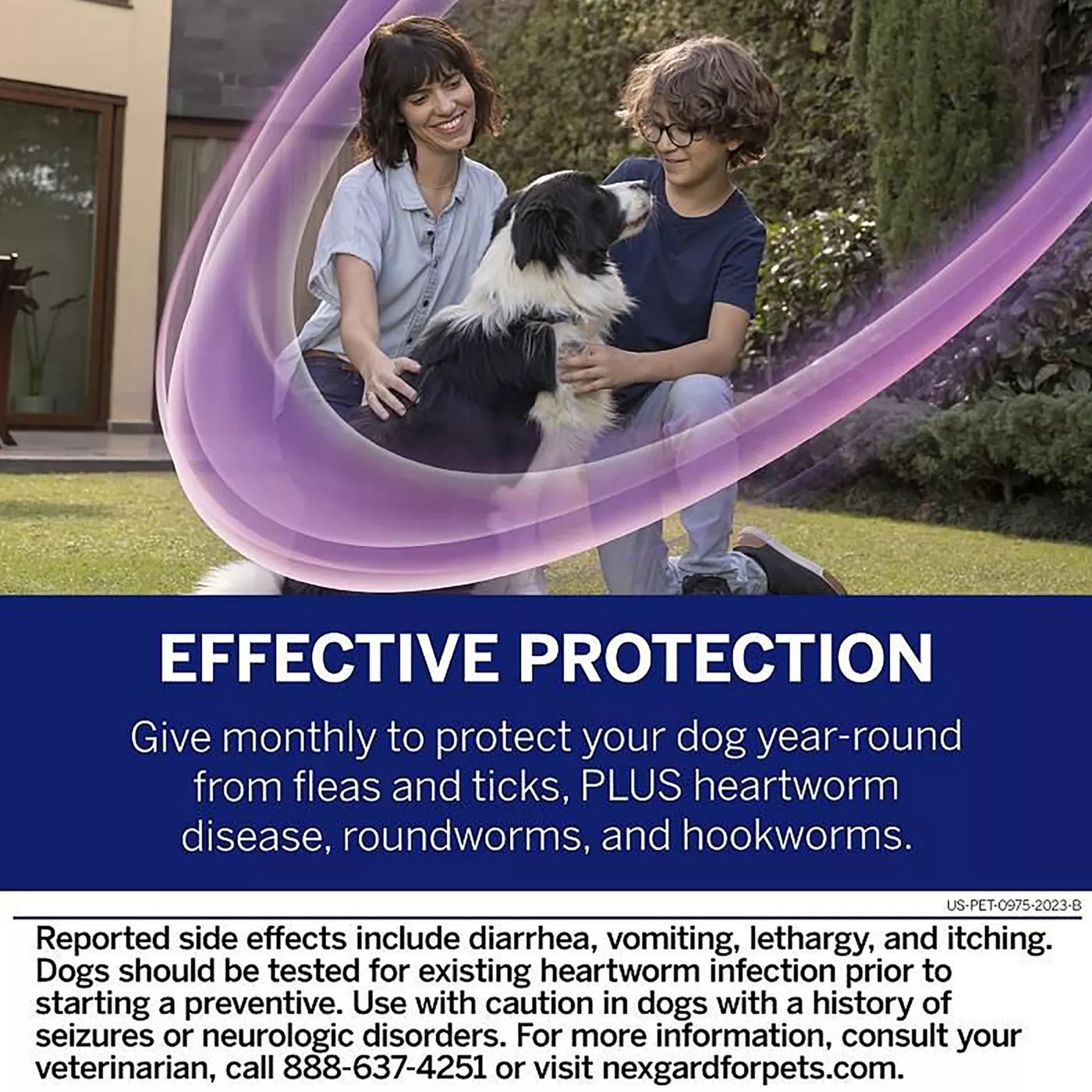 NexGard Plus Chewable Tablets for Dogs 33.1 66 lbs Purple Box