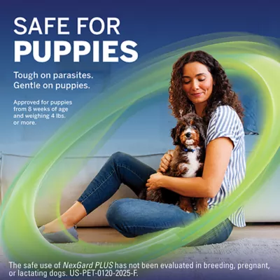 Product NexGard Plus Chewable Tablets for Dogs - 66.1-132 lbs, Red Box