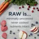 Product Instinct® RawBoost Whole Grain Kibble + Freeze-Dried Raw All Life Stage Dry Dog Food - Salmon & Rice