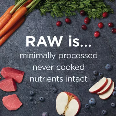 Product Instinct® Raw Boost Kibble + Freeze-Dried Raw Small Breed All Life Stage Dry Dog Food - Beef