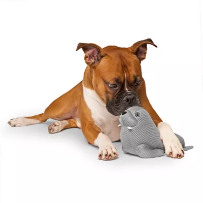 Product Canada Pooch Cooling Pal - Walrus