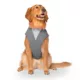 Product Canada Pooch Max Chill Cooling Vest - Grey