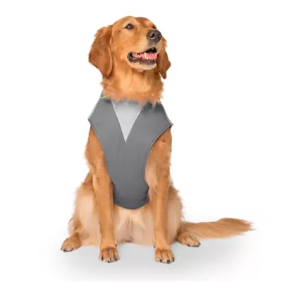 Product Canada Pooch Max Chill Cooling Vest - Grey