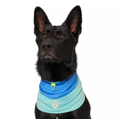 Product Canada Pooch Max Chill Cooling Snood for Dogs