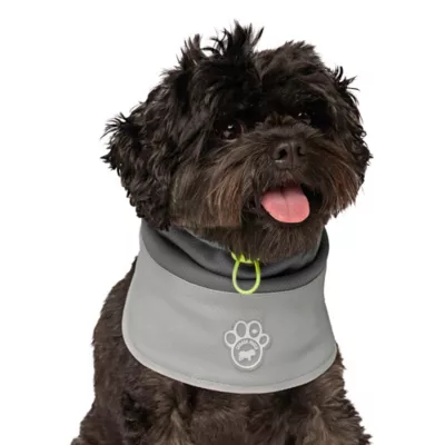 Product Canada Pooch Max Chill Cooling Snood for Dogs