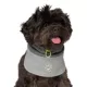 Product Canada Pooch Max Chill Cooling Snood for Dogs