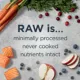 Product Instinct RawBoost Whole Grain Kibble + Freeze-Dried Raw All Life Stage Dry Dog Food - Salmon & Rice