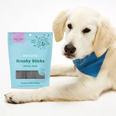 Product Bocce's Brushy Dental Sticks Dog Treats 13 OZ
