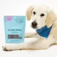 Product Bocce's Brushy Dental Sticks Dog Treats 13 OZ
