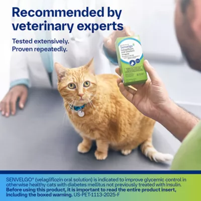Senvelgo (velagliflozin oral solution) Oral Hypoglycemic for Cats, 30 mL Bottle 15 mg/mL - Image 7