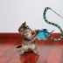 KONG® Teaser Curlz Cat Toy image thumbnail 2