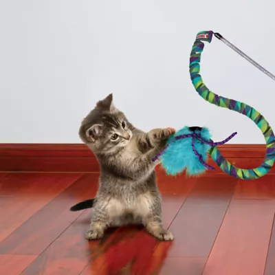 Product KONG® Teaser Curlz Cat Toy