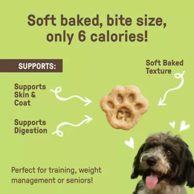 Product Cookie Pal Peanut Butter Apple Soft & Chewy 8.8 OZ