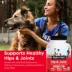 NutriVet® Hip & Joint Extra Strength Chewable Tablets for Dogs - Liver, 120 Count image thumbnail 5