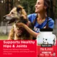 Product NutriVet® Hip & Joint Extra Strength Chewable Tablets for Dogs - Liver, 120 Count