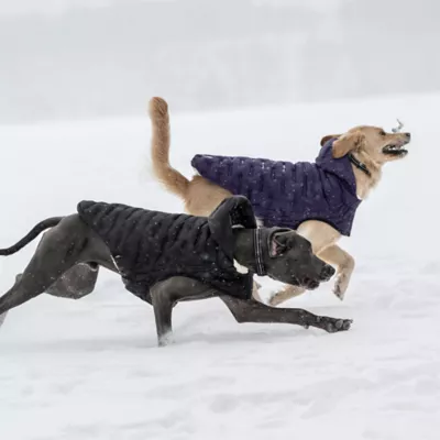 GF PET Elasto-Fit Cloud Parka - Black - Image 9