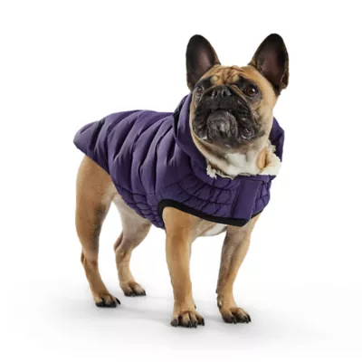 GF PET Elasto-Fit Cloud Parka - Purple - Image 1