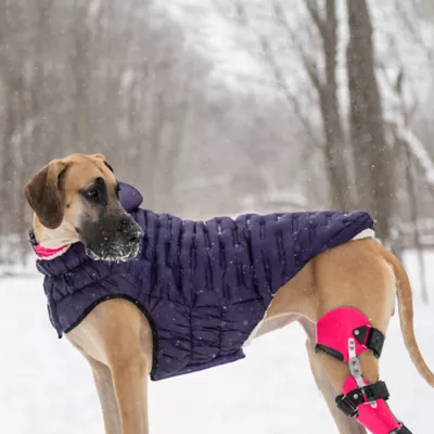 GF PET Elasto-Fit Cloud Parka - Purple - Image 7