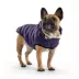 GF PET Elasto-Fit Cloud Parka - Purple image thumbnail 1