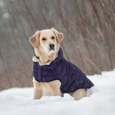 GF PET Elasto-Fit Cloud Parka - Purple - Image 6