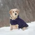 GF PET Elasto-Fit Cloud Parka - Purple image thumbnail 6