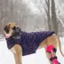 GF PET Elasto-Fit Cloud Parka - Purple image thumbnail 7