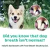 TropiClean Fresh Breath - Plaque & Tartar Control Kit for Small & Medium Dogs image thumbnail 8