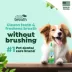 TropiClean Fresh Breath - No Brushing Clean Teeth Dental & Oral Care Gel for Dogs, 59ml image thumbnail 4
