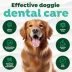TropiClean Fresh Breath - No Brushing Clean Teeth Dental & Oral Care Gel for Dogs, 59ml image thumbnail 6