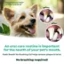 TropiClean Fresh Breath - No Brushing Clean Teeth Dental & Oral Care Gel for Dogs, 59ml image thumbnail 7