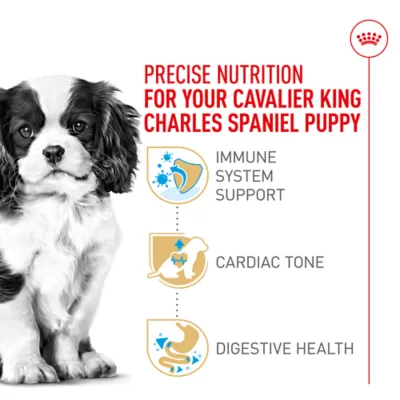 Product Royal Canin® Breed Health Nutrition® Dry Puppy Food - Cavalier King Charles