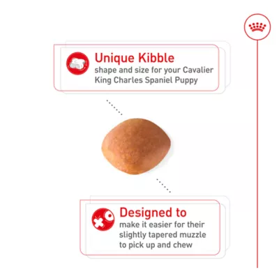 Product Royal Canin® Breed Health Nutrition® Dry Puppy Food - Cavalier King Charles