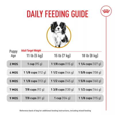 Product Royal Canin® Breed Health Nutrition® Dry Puppy Food - Cavalier King Charles