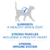 Purina ONE +Plus High Protein Dry Cat Food - Salmon & Ocean Whitefish Formula image thumbnail 3