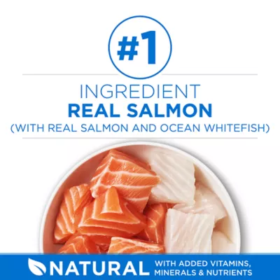 Product Purina ONE Dry Cat Food +Plus Tailored Formulas - Salmon and Ocean Whitefish, 3 kg